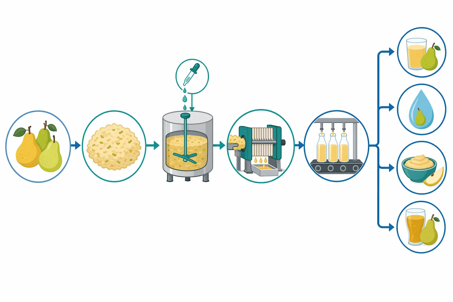 Pear juice processing uses pectinase after crushing to improve mash breakdown, pressing, filtration, and juice clarity.