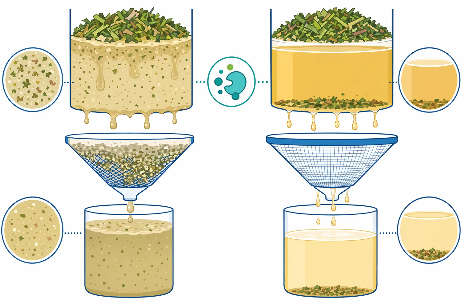 Expected benefits of pectinase treatment include improved liquid release, lower viscosity, better clarification behavior, and reduced filtration burden when pectin is a key contributor.