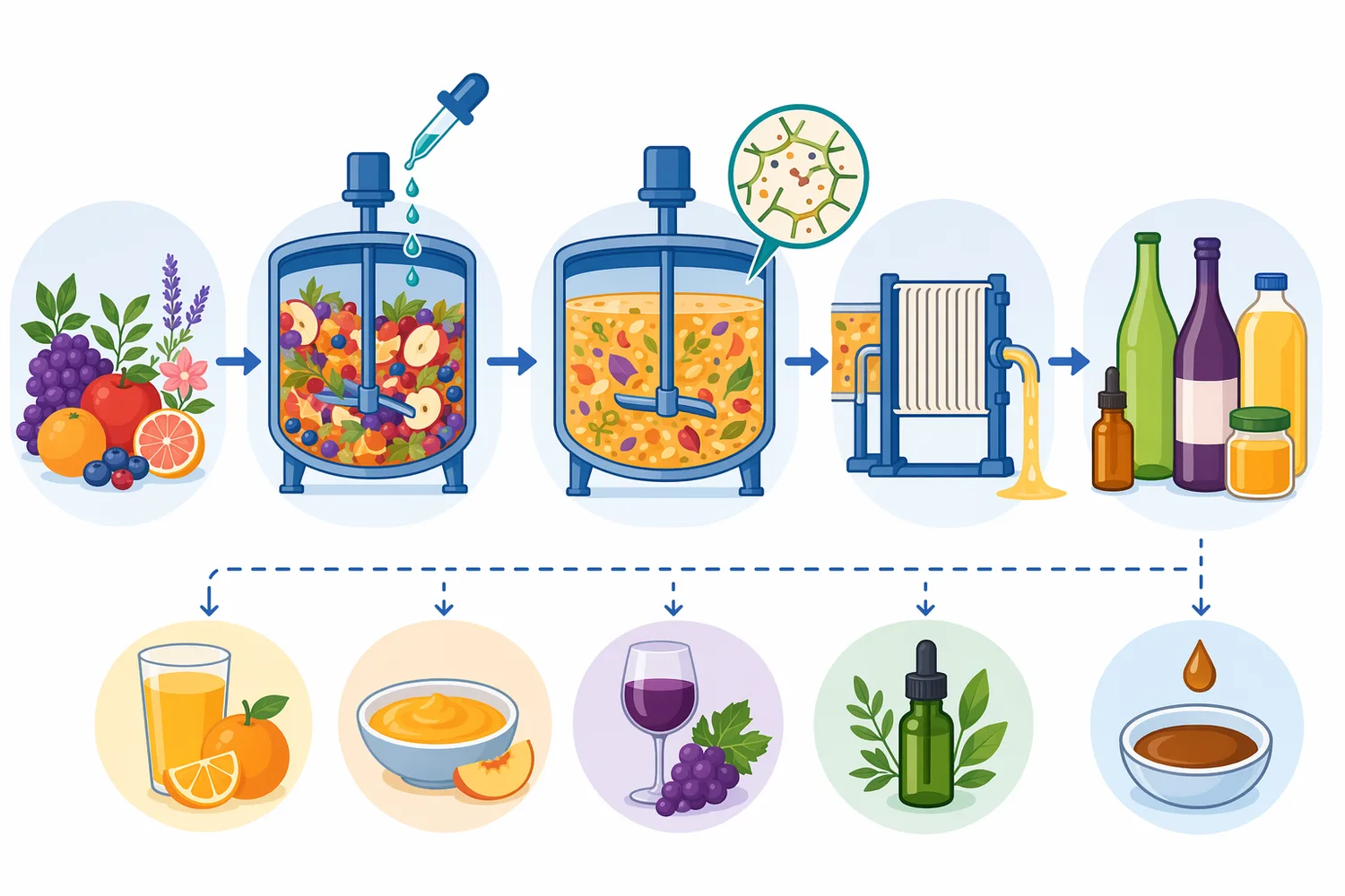 Pectinase is typically applied after wetting or maceration and before pressing, centrifugation, filtration, polishing, concentration, or drying.