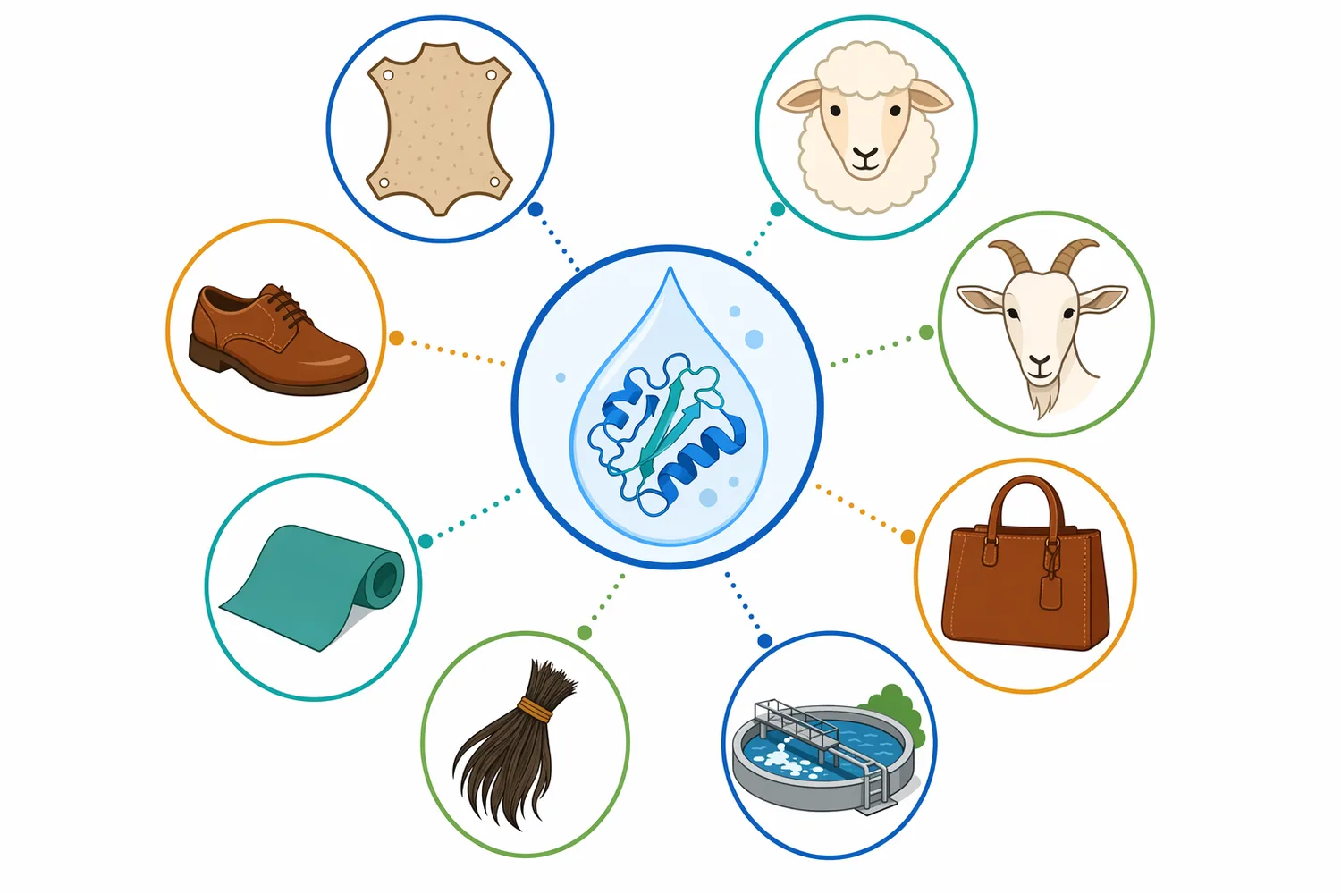 Published dehairing studies include goat skins, sheep skins, and cowhides, showing that protease systems have been investigated across different leather substrates.