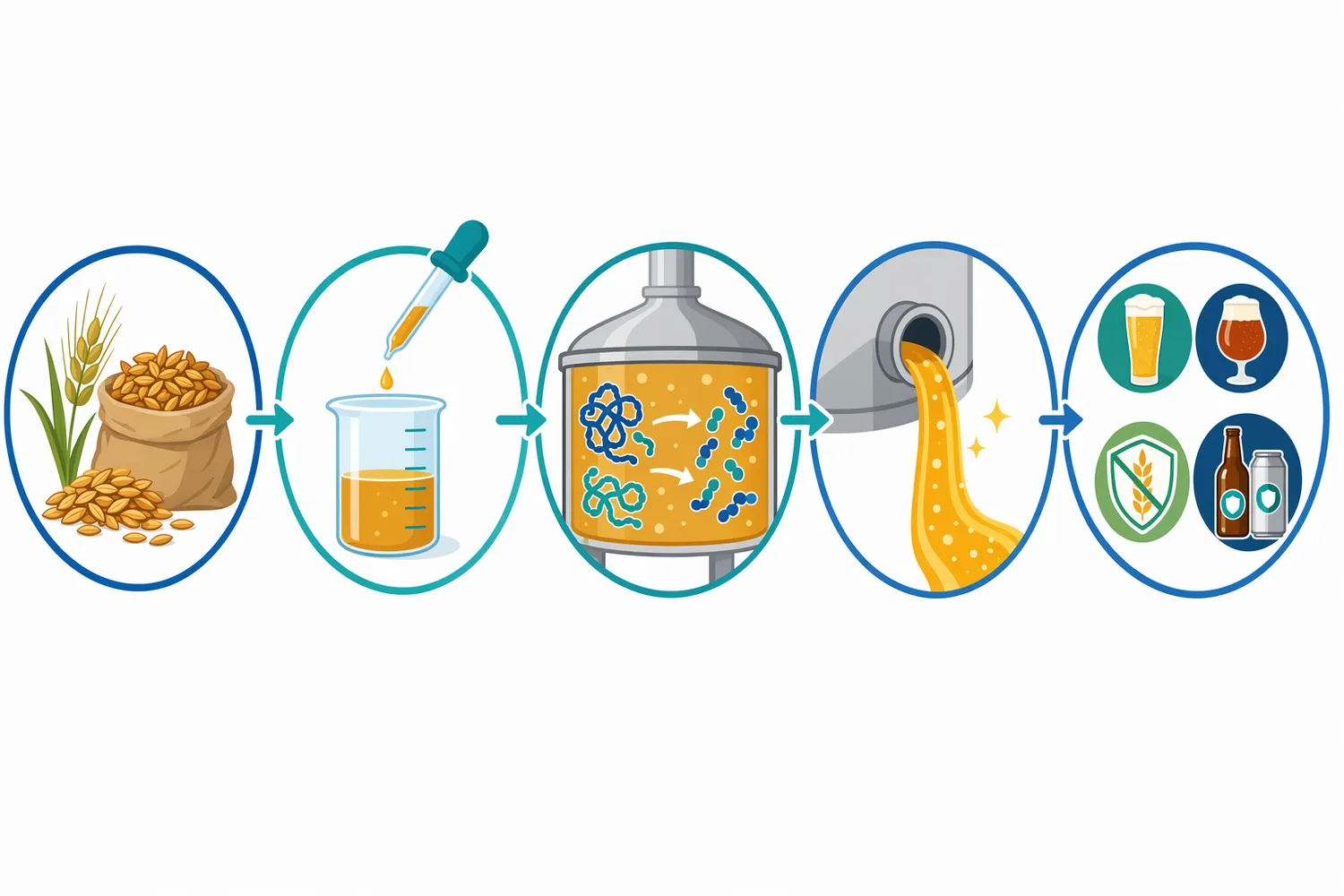 A brewing workflow can place proline protease where contact time with cereal proteins is available before later process steps limit continued enzyme activity.