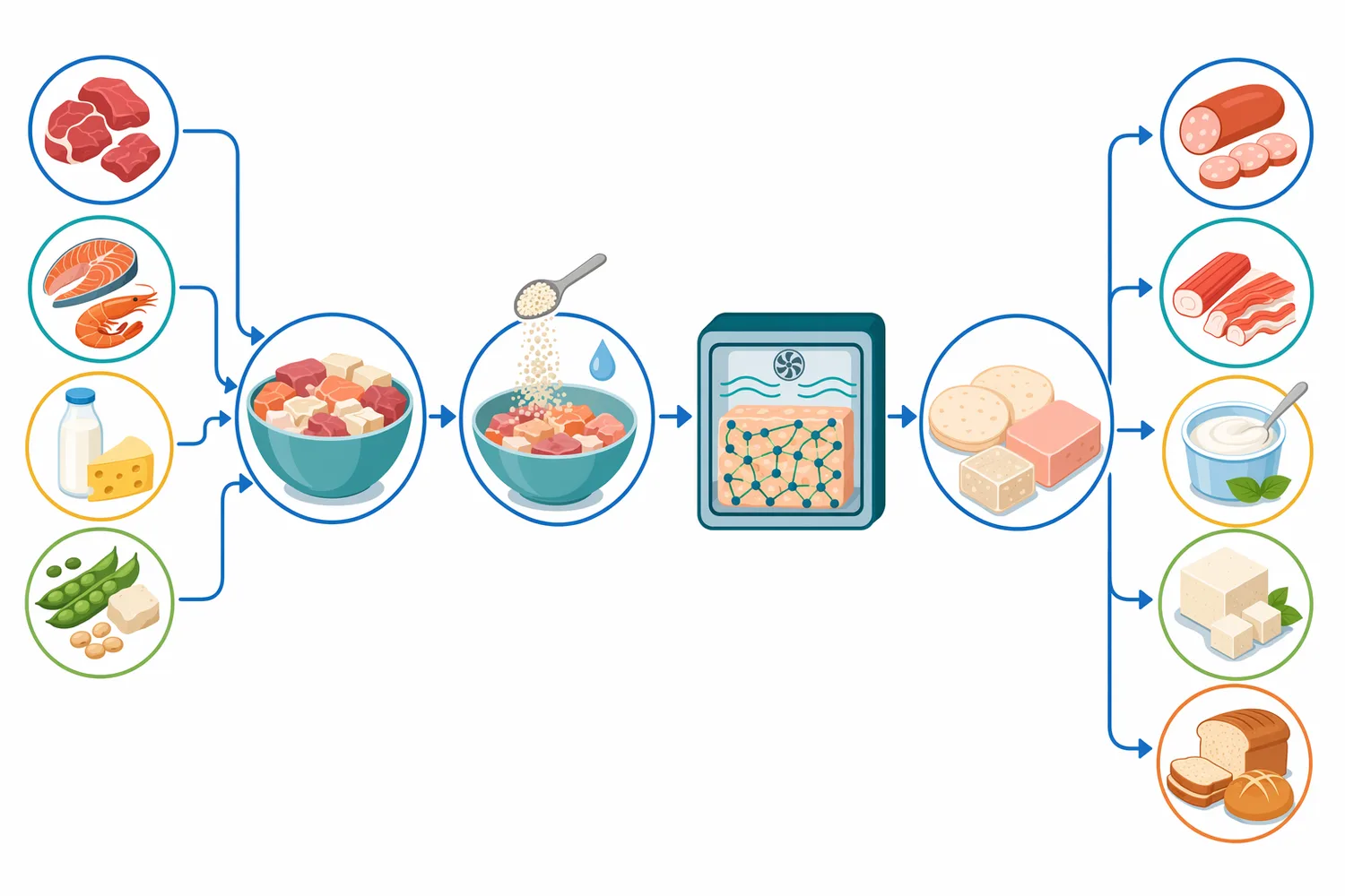 Effective use depends on coordinating hydration, enzyme dispersion, protein extraction or unfolding, holding/forming time, and final heating or stabilization.