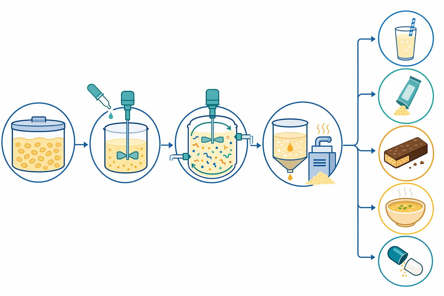 A typical soy hydrolysis workflow disperses the substrate in water, applies the enzyme under controlled conditions, and then uses downstream steps such as heat treatment, separation, concentration, drying, fermentation, or blending.
