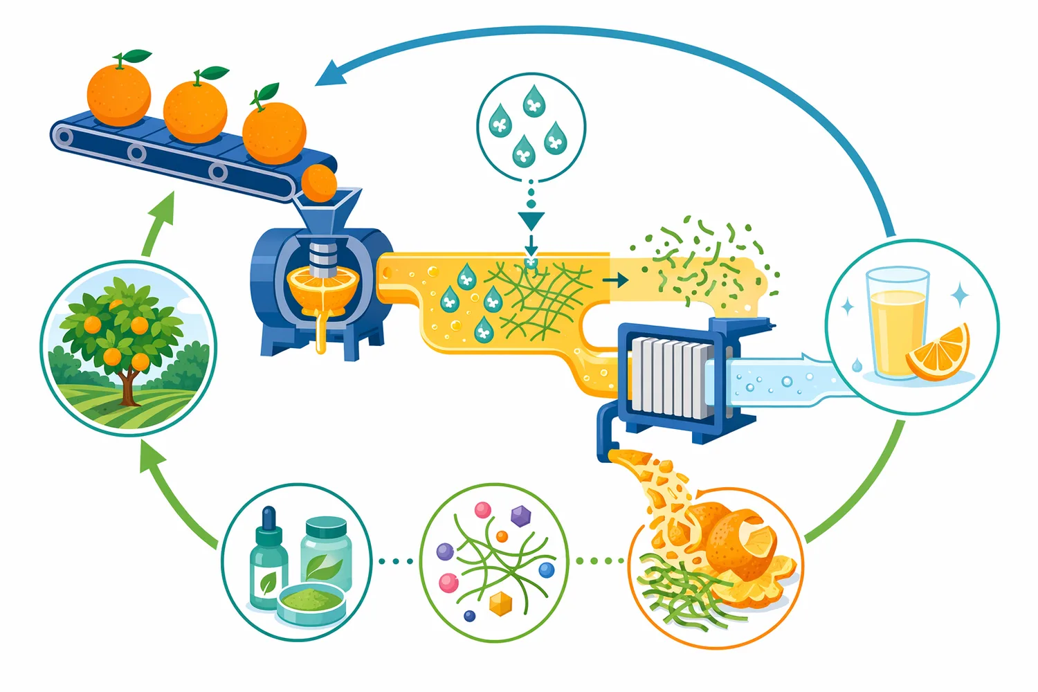 Pectin management connects orange juice processing with the wider use of pectin-rich citrus peel and pulp by-products.