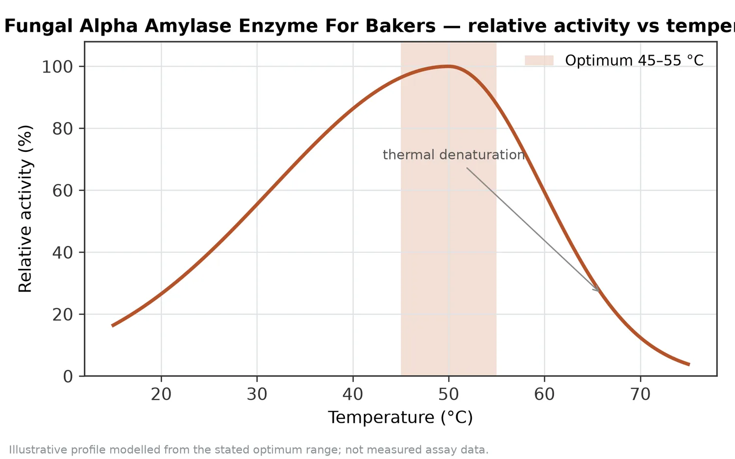 Relative activity of Fungal Alpha Amylase Enzyme For Bakers as a function of temperature, with the optimum at 45–55 °C and a characteristic thermal-denaturation fall-off above the optimum.