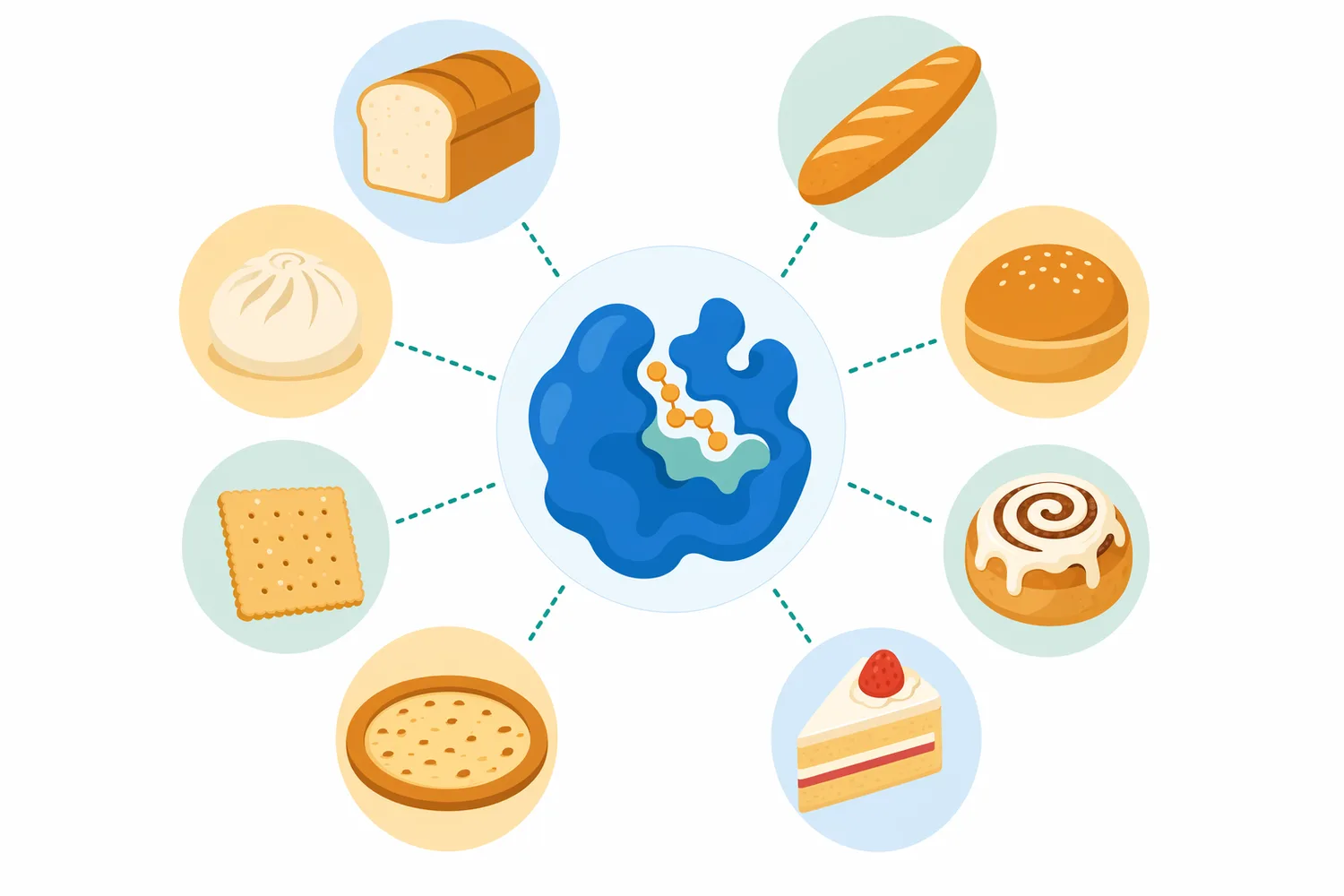 Fungal alpha amylase is mainly used across bread, bun, roll, cake, cracker, pizza, and other flour-based bakery applications.