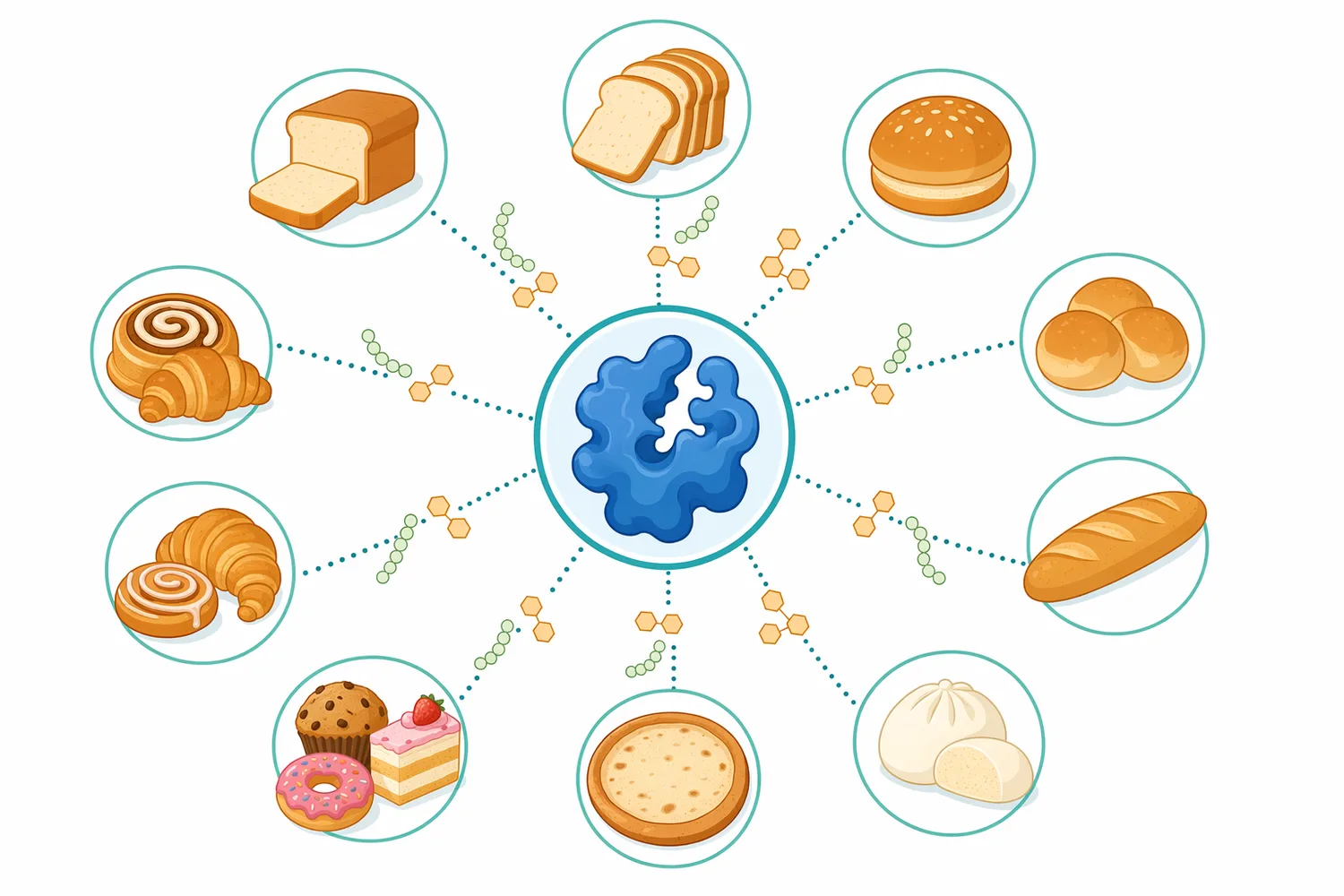 Fungal alpha amylase is used across pan bread, rolls, whole-grain, composite-flour and gluten-free bread systems, with effects depending on the full formulation.