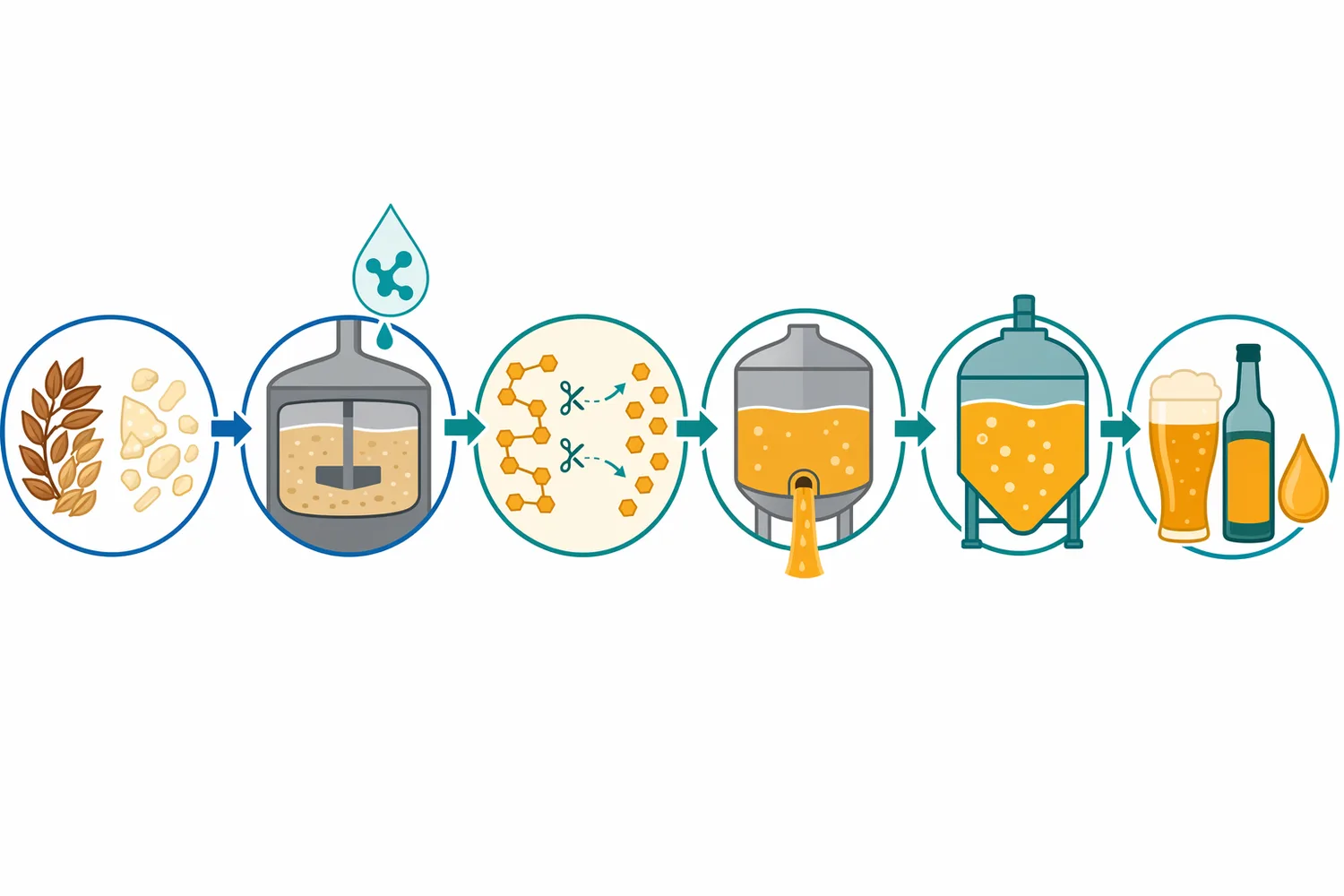 In brewing and distilling, liquid glucoamylase is dosed into mash or wort to drive starch conversion toward highly fermentable sugars.