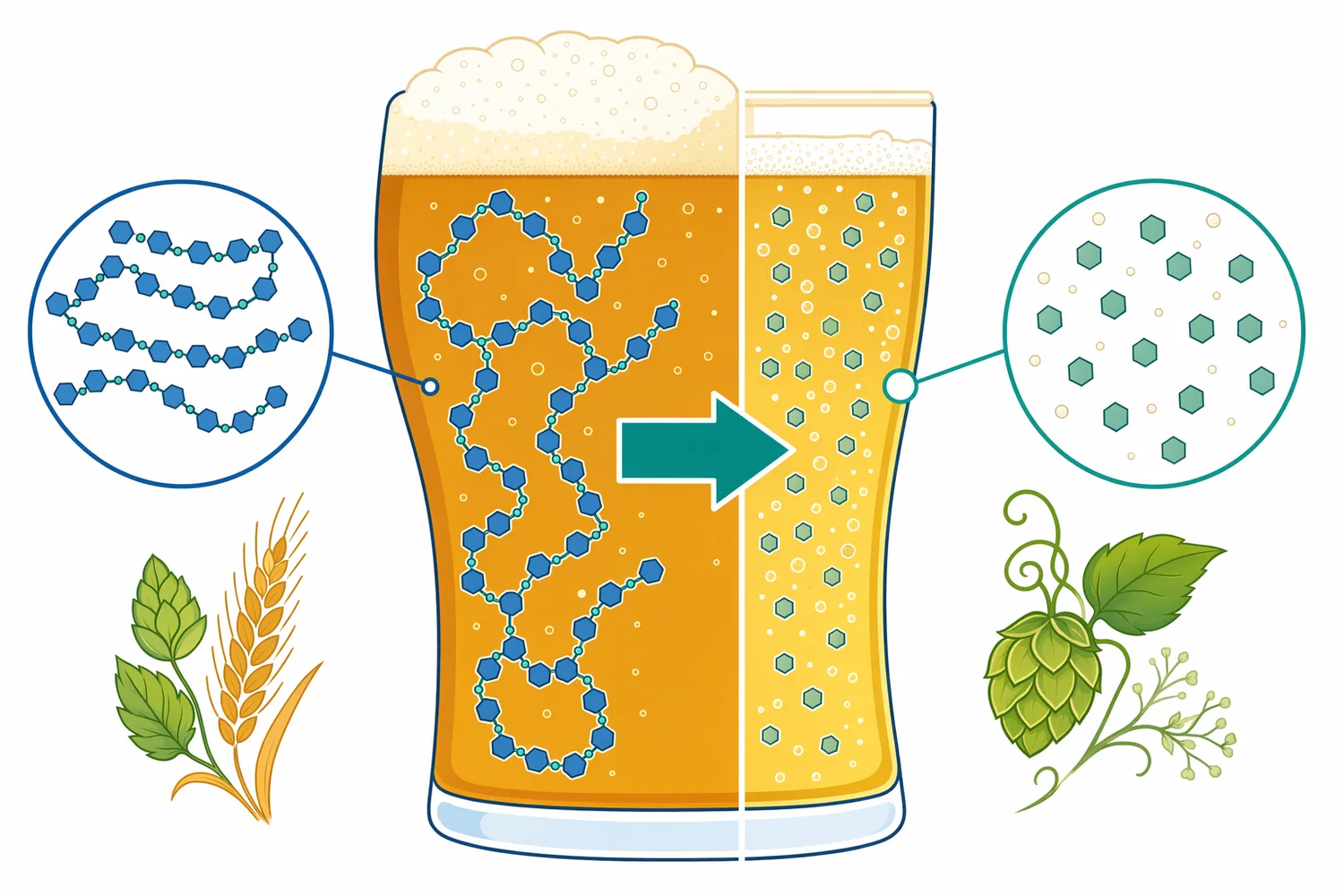 Reducing residual dextrins can lower final gravity and sweetness while also reducing body and palate fullness.