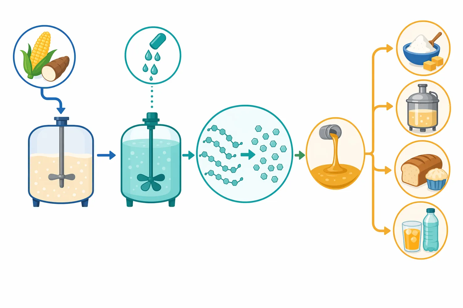 A typical starch workflow makes starch accessible, liquefies it into dextrins, and then uses glucoamylase to saccharify those dextrins toward glucose.