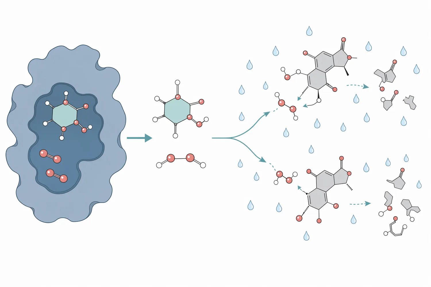 Glucose oxidase catalyzes the oxidation of glucose with dissolved oxygen to form gluconic acid and hydrogen peroxide in the water phase.