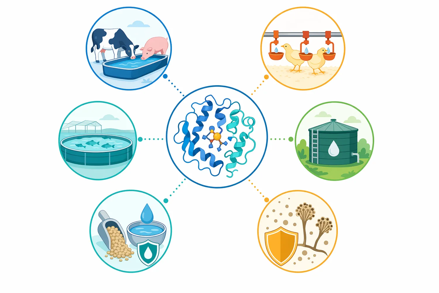Animal drinking-water systems such as poultry lines, swine nipples, troughs, tanks, and livestock distribution loops can accumulate organic residues that make water hygiene support relevant.