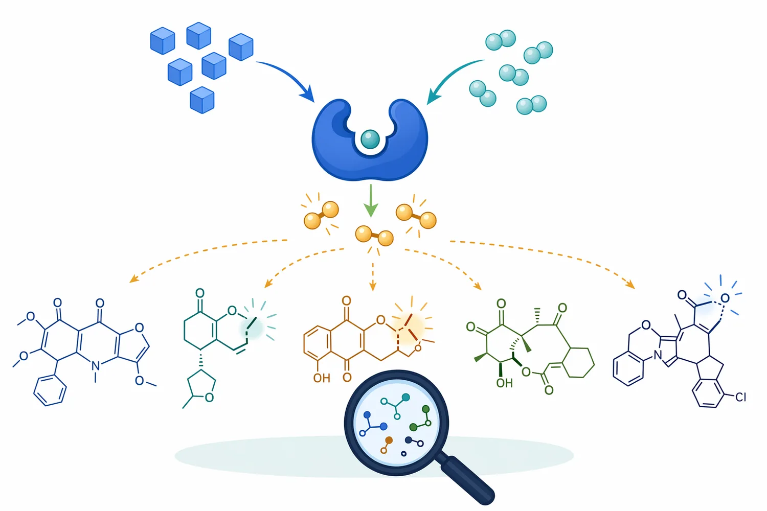 Because mycotoxins have different chemical structures, glucose oxidase can only support transformation of oxidation-sensitive contaminants under suitable conditions.