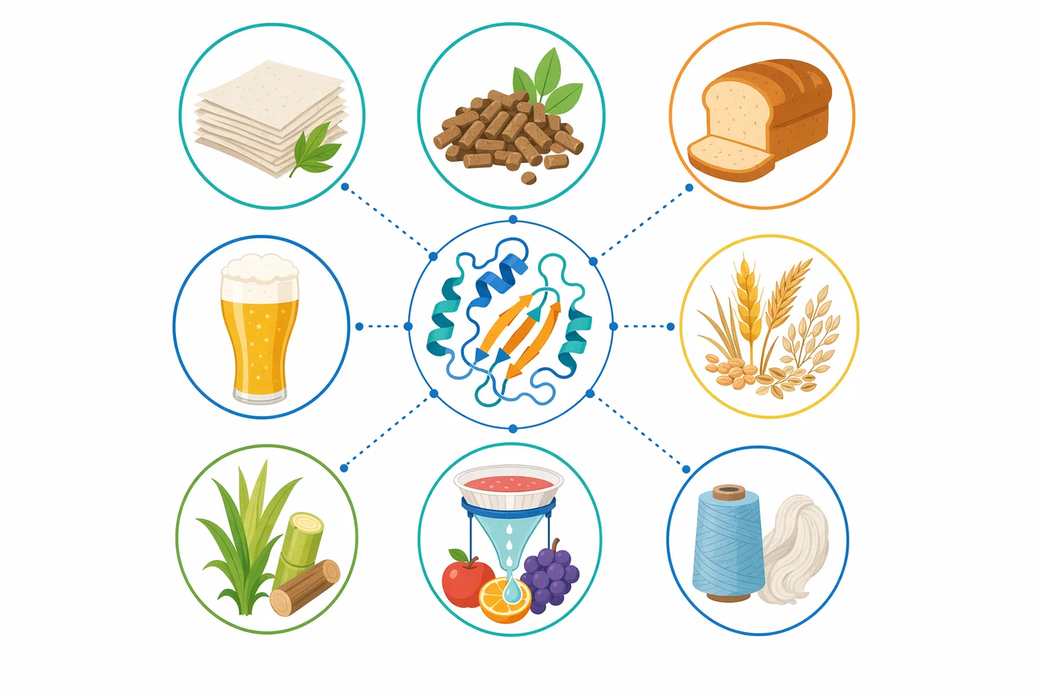 Industrial hemicellulase applications include biomass hydrolysis, cereal processing, pulp bleaching, animal feed, and plant-material extraction.
