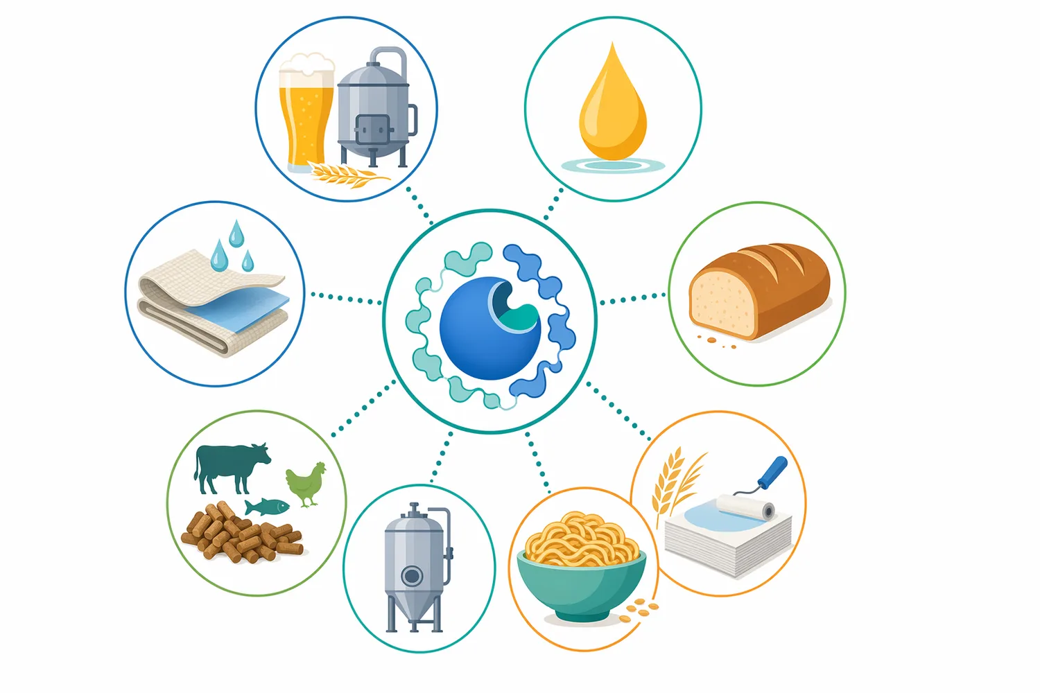Hot-process α-amylase supports multiple starch-conversion outcomes, including maltodextrins, glucose syrup precursors, fermentation feedstocks, and food ingredient streams.