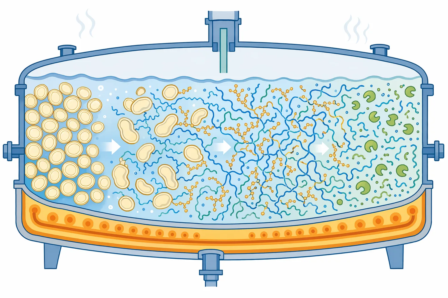 Heating hydrates and gelatinizes starch granules, exposing polymer chains that α-amylase can liquefy.