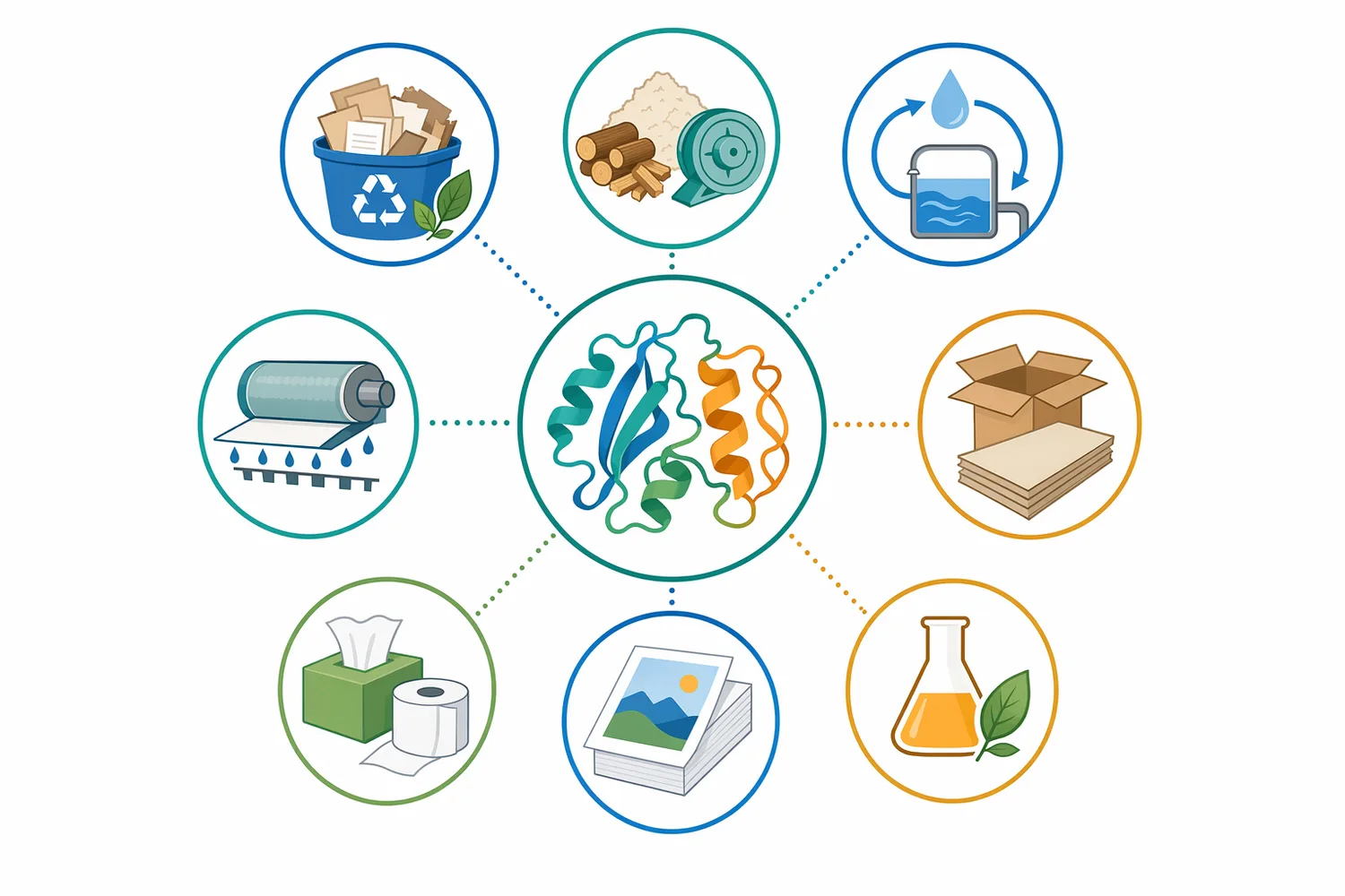 E3100 is positioned for pulp processing, DCS reduction, retention-aid efficiency support, fine and filler retention, drainage support, debarking or chip processing, and refining assistance when pectin is relevant.