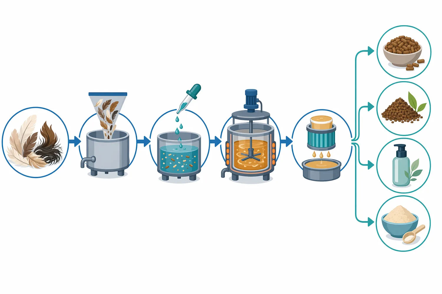 In feather meal processing, hydrated keratin-rich material is mixed with keratinase and held for hydrolysis to produce a peptide-rich ingredient for feed preparation.