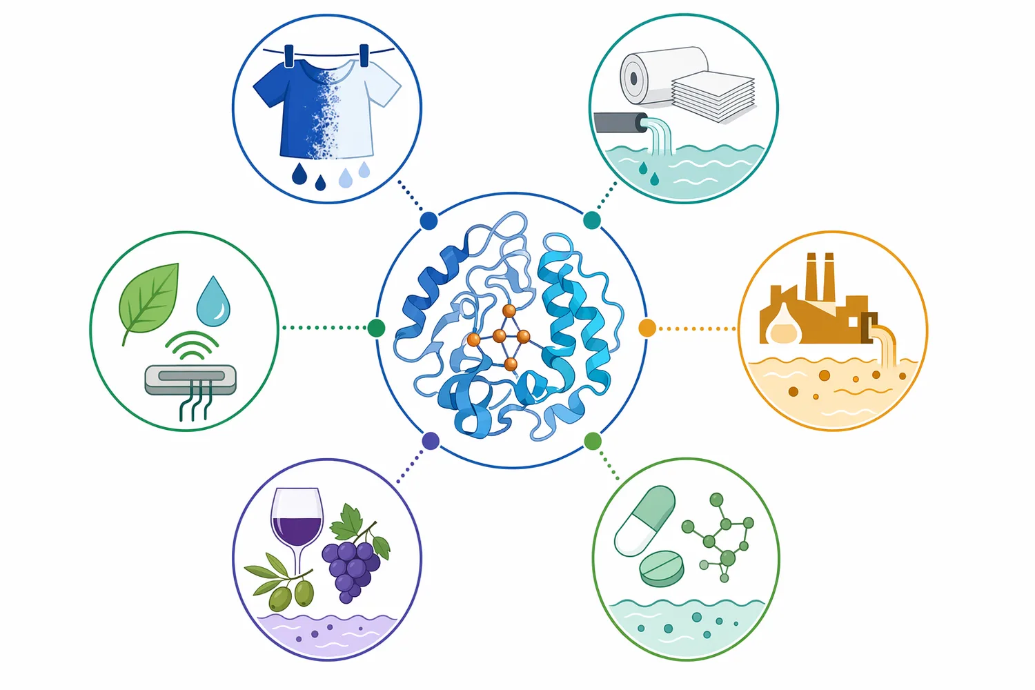 Wastewater laccase is used across dye, paper, phenolic, agro-industrial, and trace organic pollutant treatment applications.