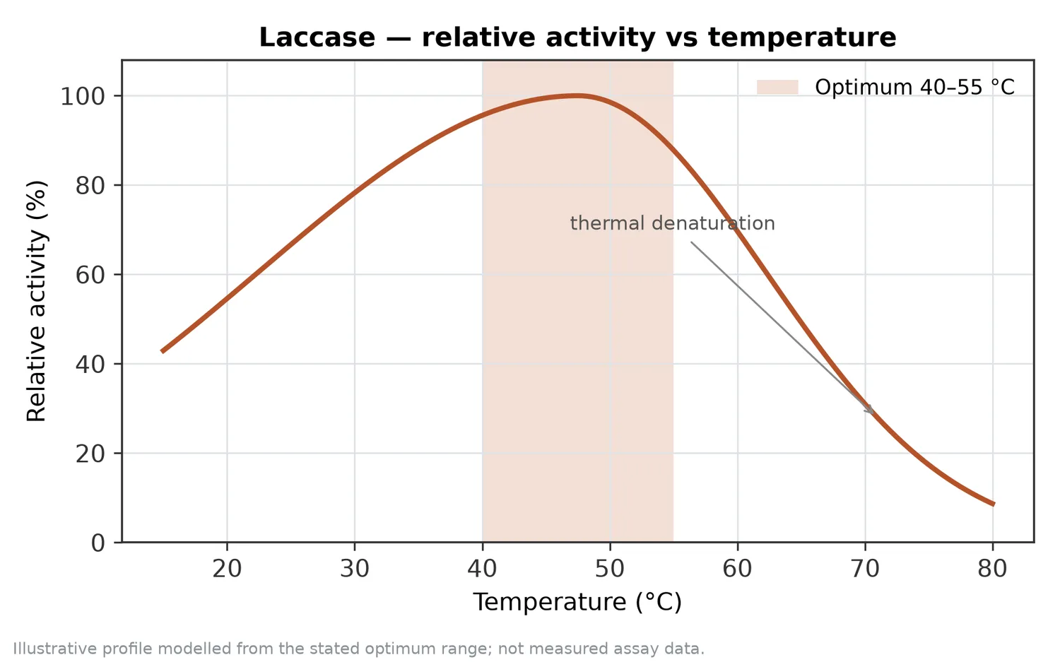 Relative activity of Laccase as a function of temperature, with the optimum at 40–55 °C and a characteristic thermal-denaturation fall-off above the optimum.