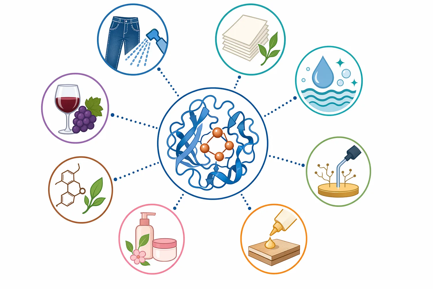 Laccase is used across textiles, pulp and paper, environmental treatment, food and beverage processing, and bio-based materials.