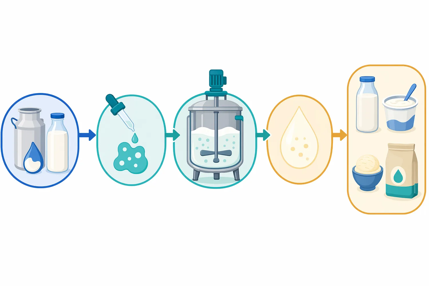 Lactose hydrolysis performance depends on the combined effects of temperature, pH, contact time, enzyme amount, and dairy matrix.