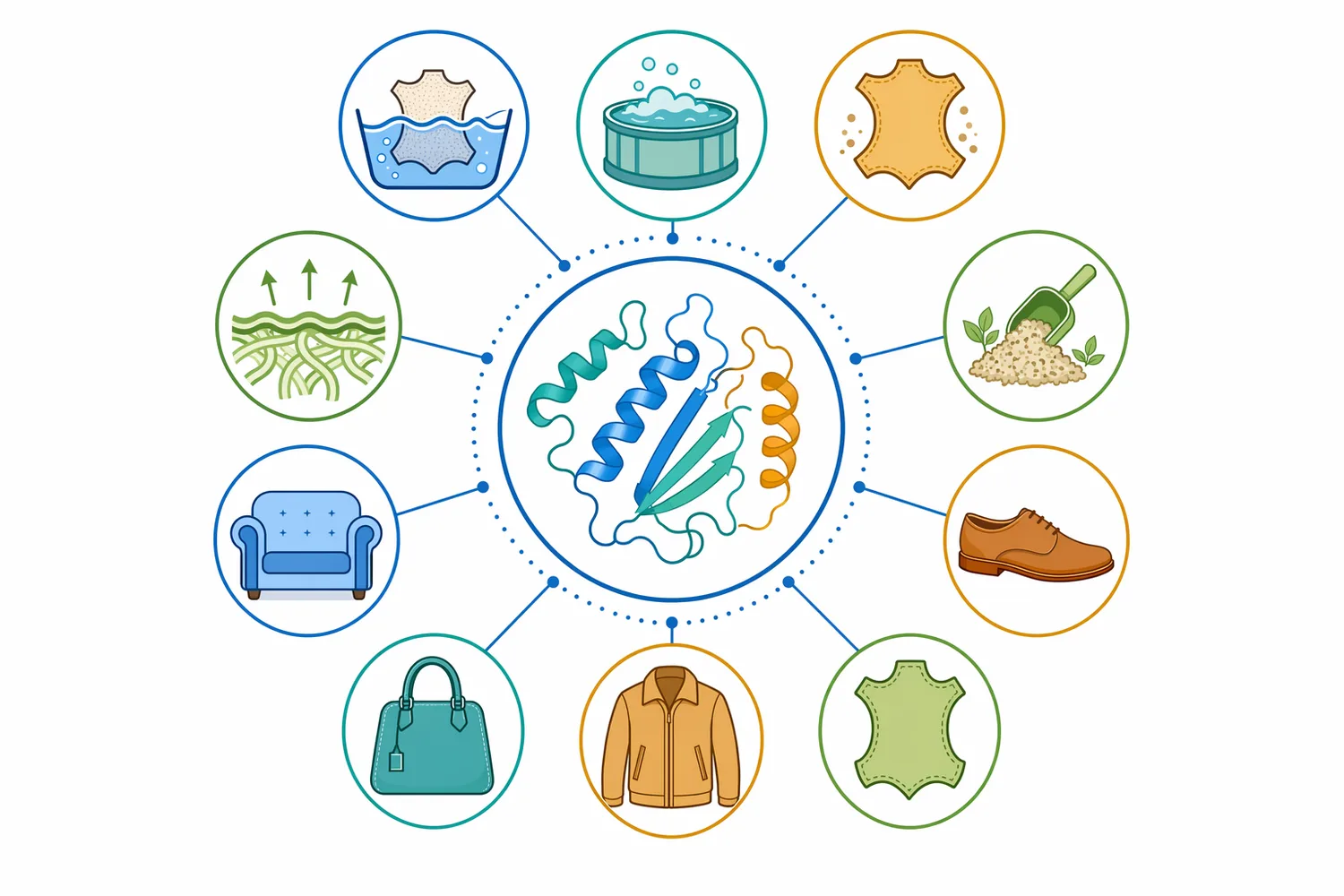 Acid protease is positioned for acidic-stage applications such as wet blue bating, re-bating, pickling-adjacent treatment, and post-tanning uniformity work.