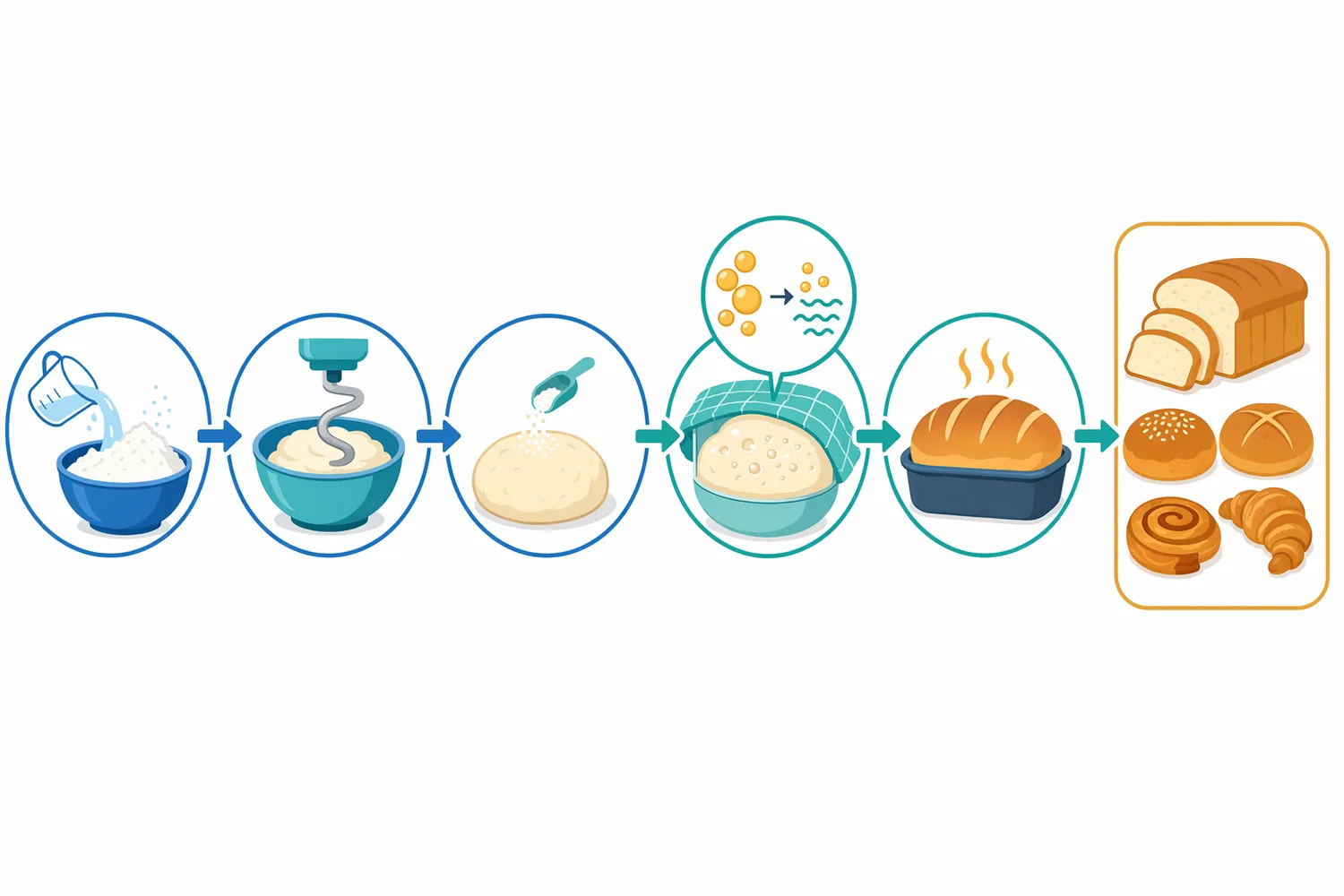 Lipase effects progress through mixing, proofing, baking, cooling, and storage as lipid modification changes gas retention, starch interactions, texture, and flavor potential.
