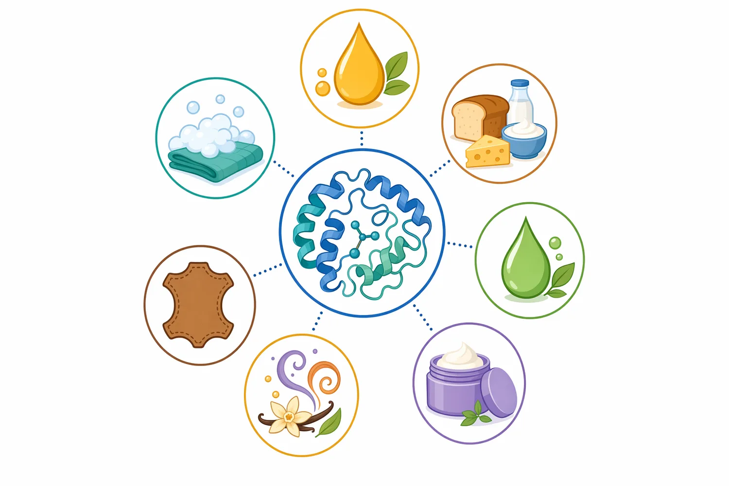 Lipase applications across detergents, food, cosmetics, fine chemicals, biodiesel, leather, textiles, and materials are linked by lipid ester transformation.