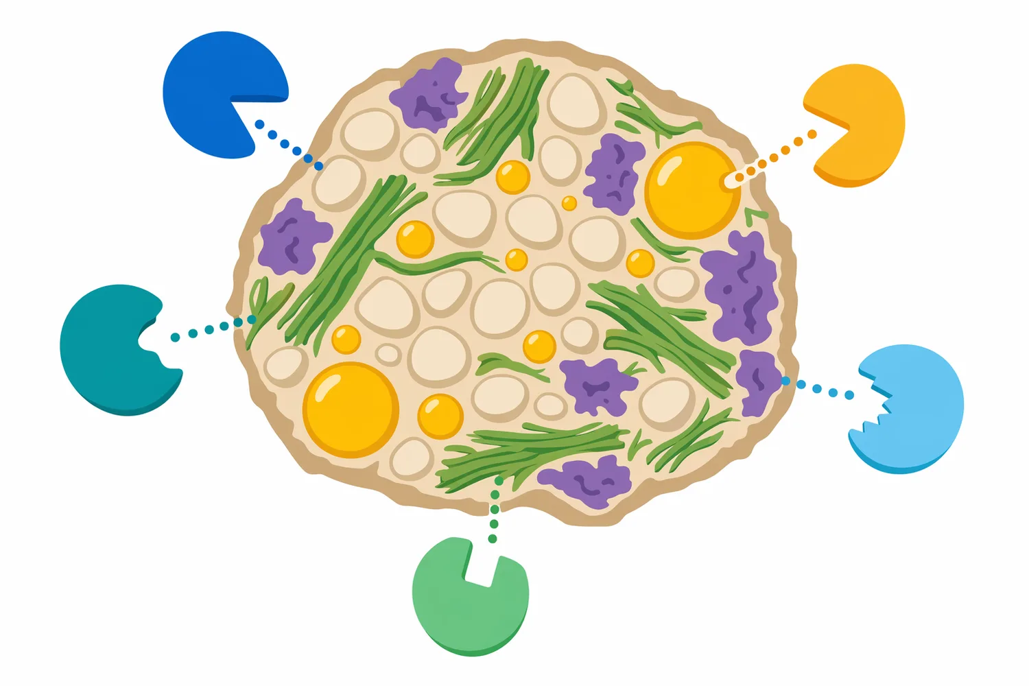 Multi-enzyme strategies are relevant because practical feeds contain lipids, starch, protein, fibre, and phytate in the same physical matrix.