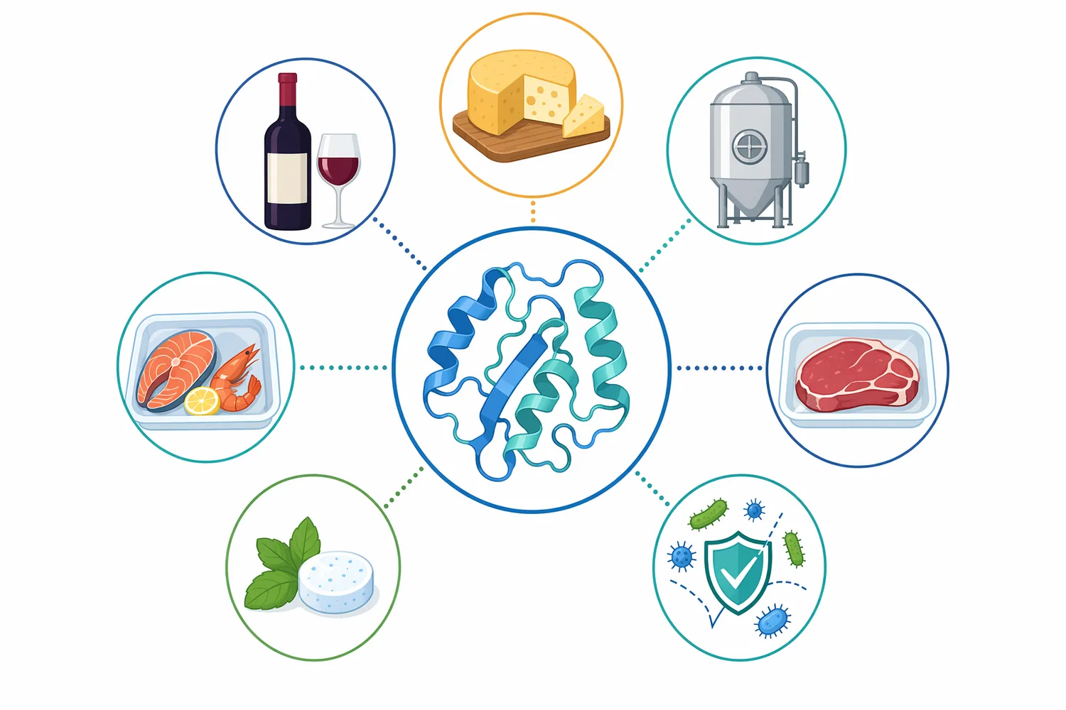 Lysozyme is positioned for selected food, wine, beverage, biotechnology, oral care, and hygiene applications where susceptible bacteria and compatible formulation conditions are relevant.