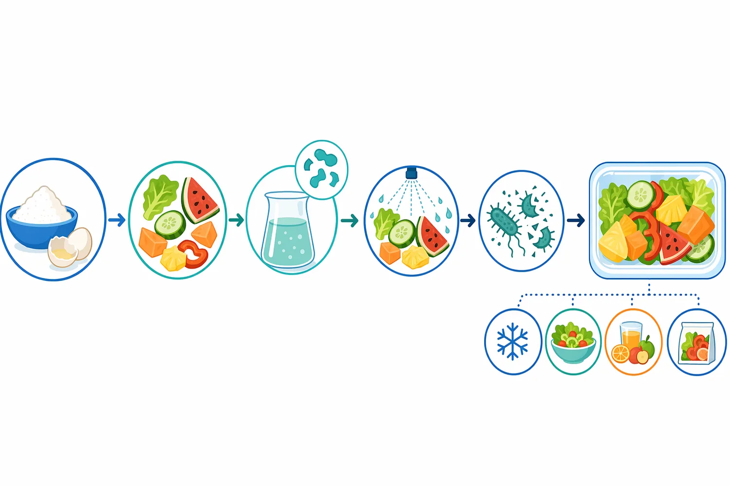 Produce applications typically place lysozyme near contamination sites through dips, coatings, surface treatments, or packaging combined with refrigeration and hygiene.