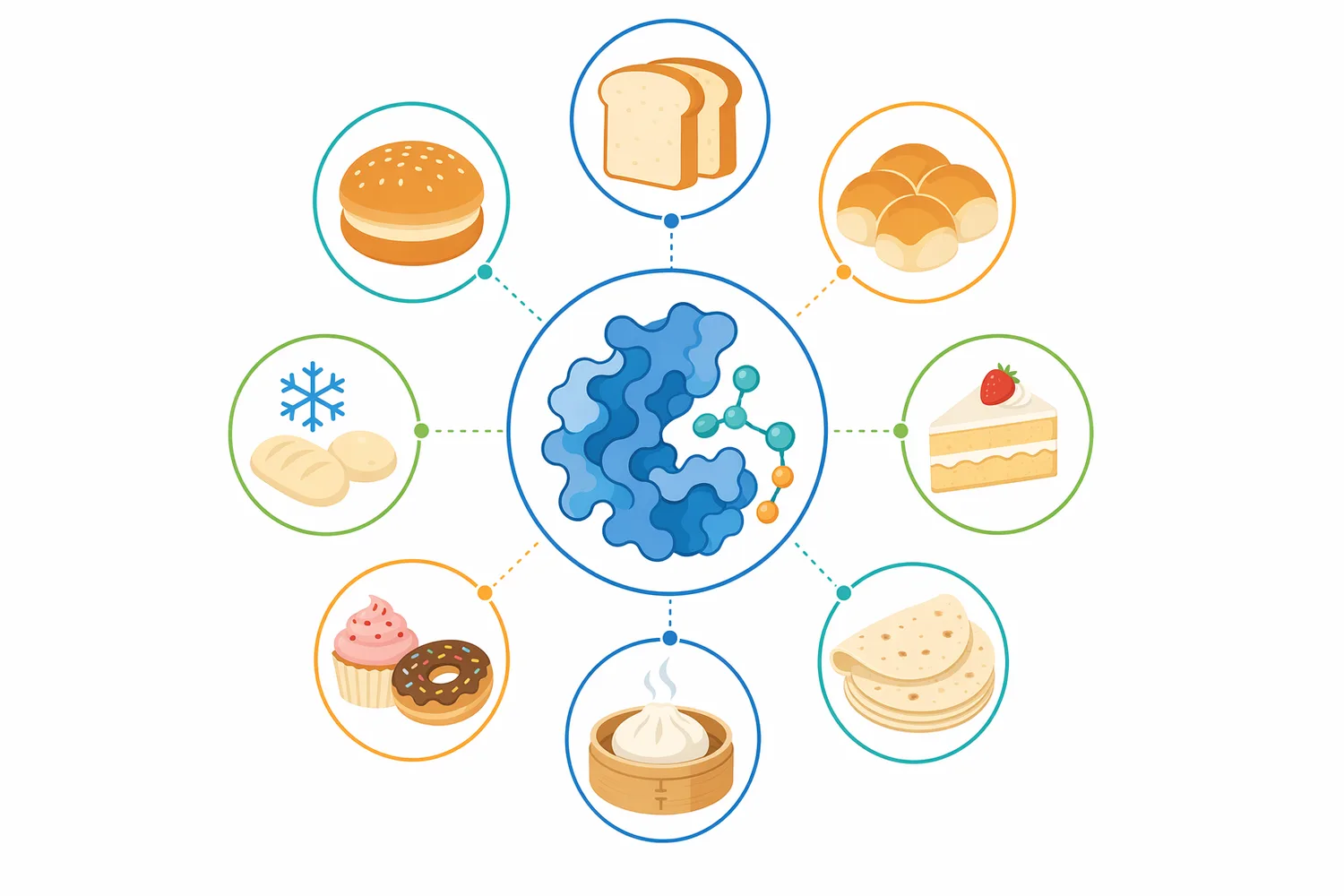 The strongest applications are packaged sandwich bread, buns, rolls, and other soft yeast-raised products where delayed crumb firming is a key quality target.