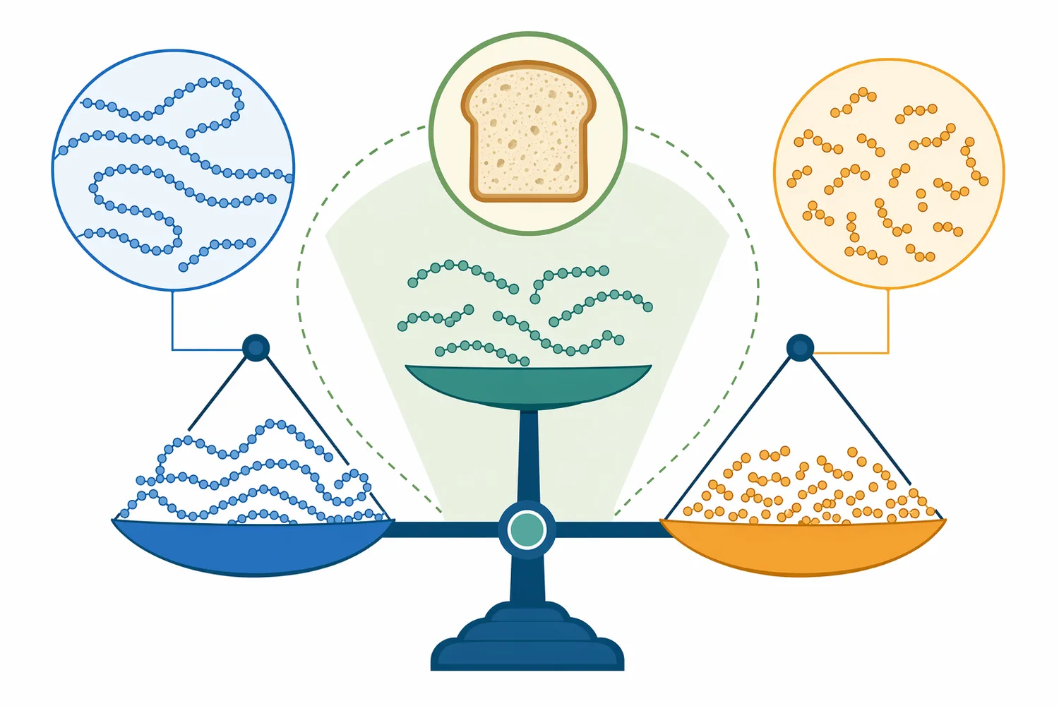 The intended bakery effect is controlled starch modification that slows retrogradation without weakening the crumb.