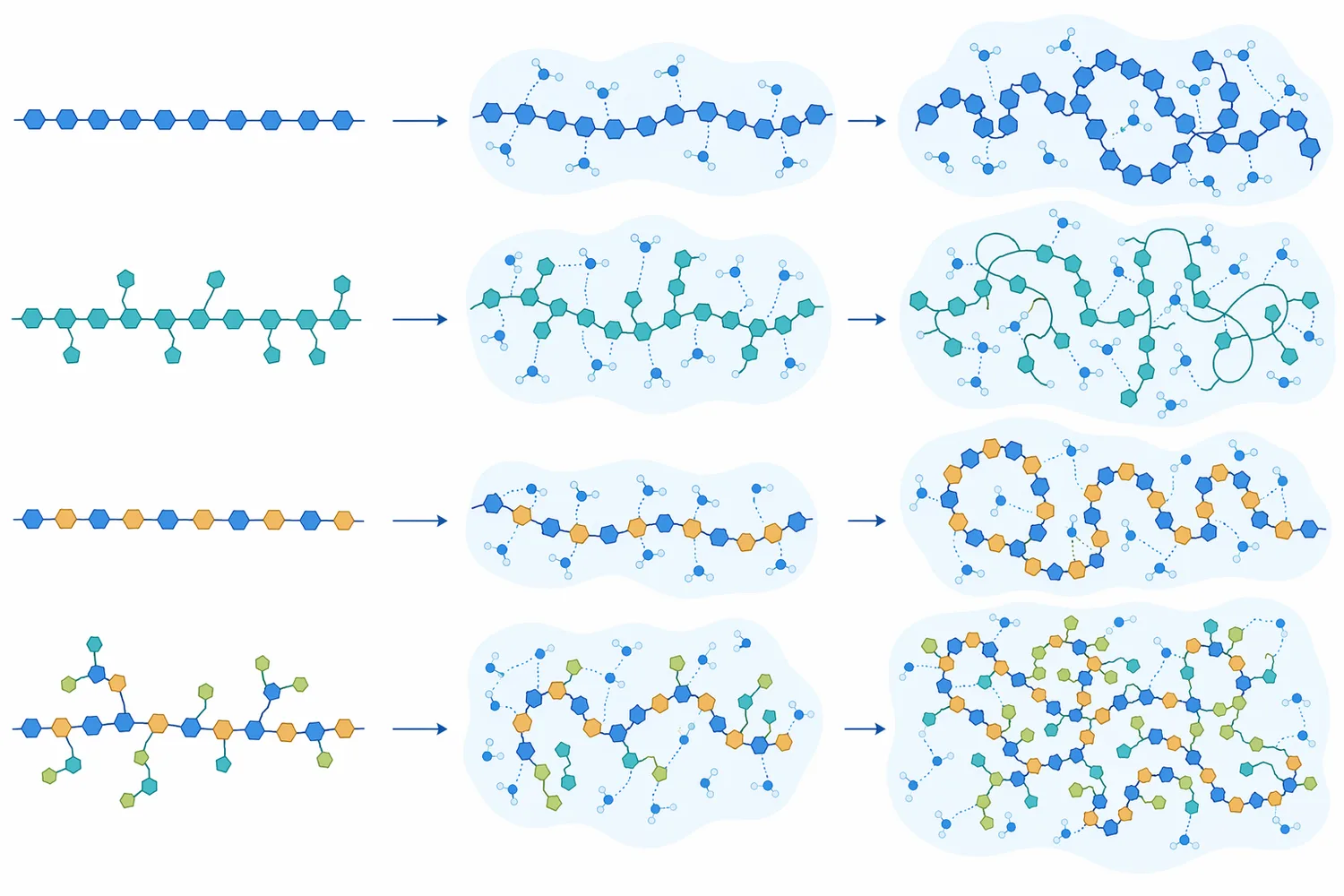 Different β-mannan architectures influence backbone accessibility and the amount of viscosity the hydrated polymer can create.