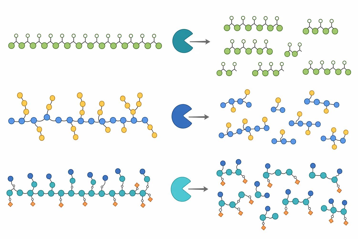 The oligosaccharide mixture produced by mannanase depends on the original mannan structure, including branching and substitution patterns.