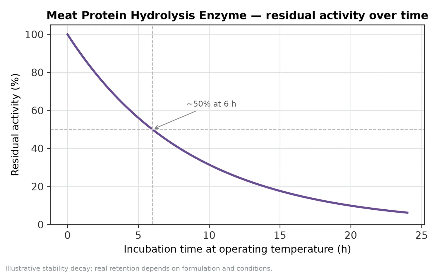 Illustrative thermal-stability decay of Meat Protein Hydrolysis Enzyme — residual activity falling over time at the operating temperature.