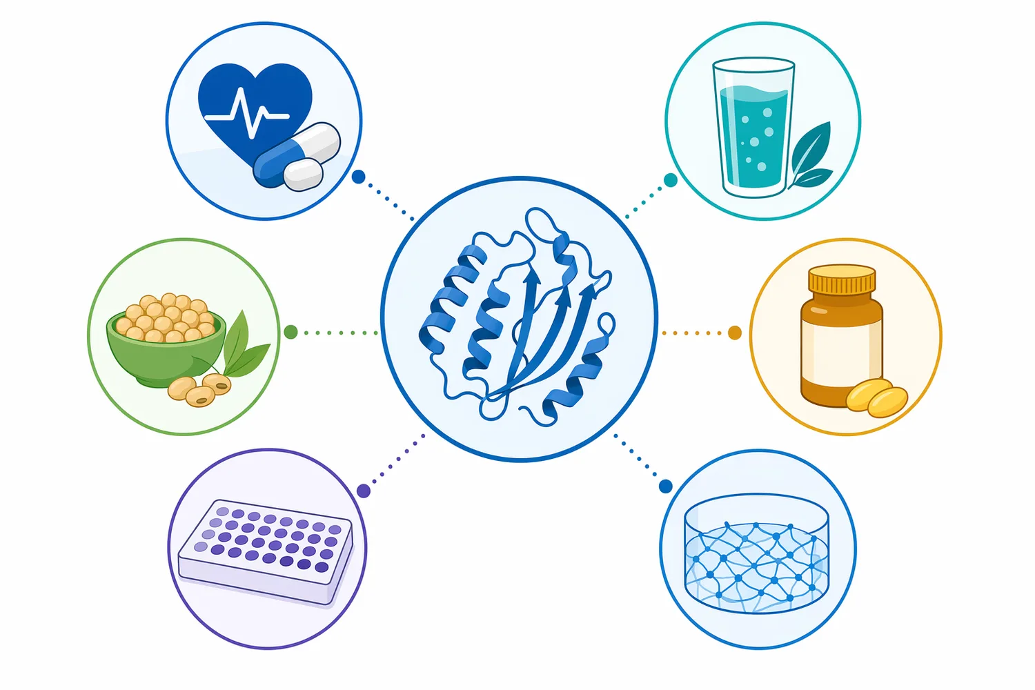Commercial nattokinase concepts include supplement capsules and tablets, fermentation-themed functional foods, vitamin K2 combinations, and dry enzyme-wellness blends.