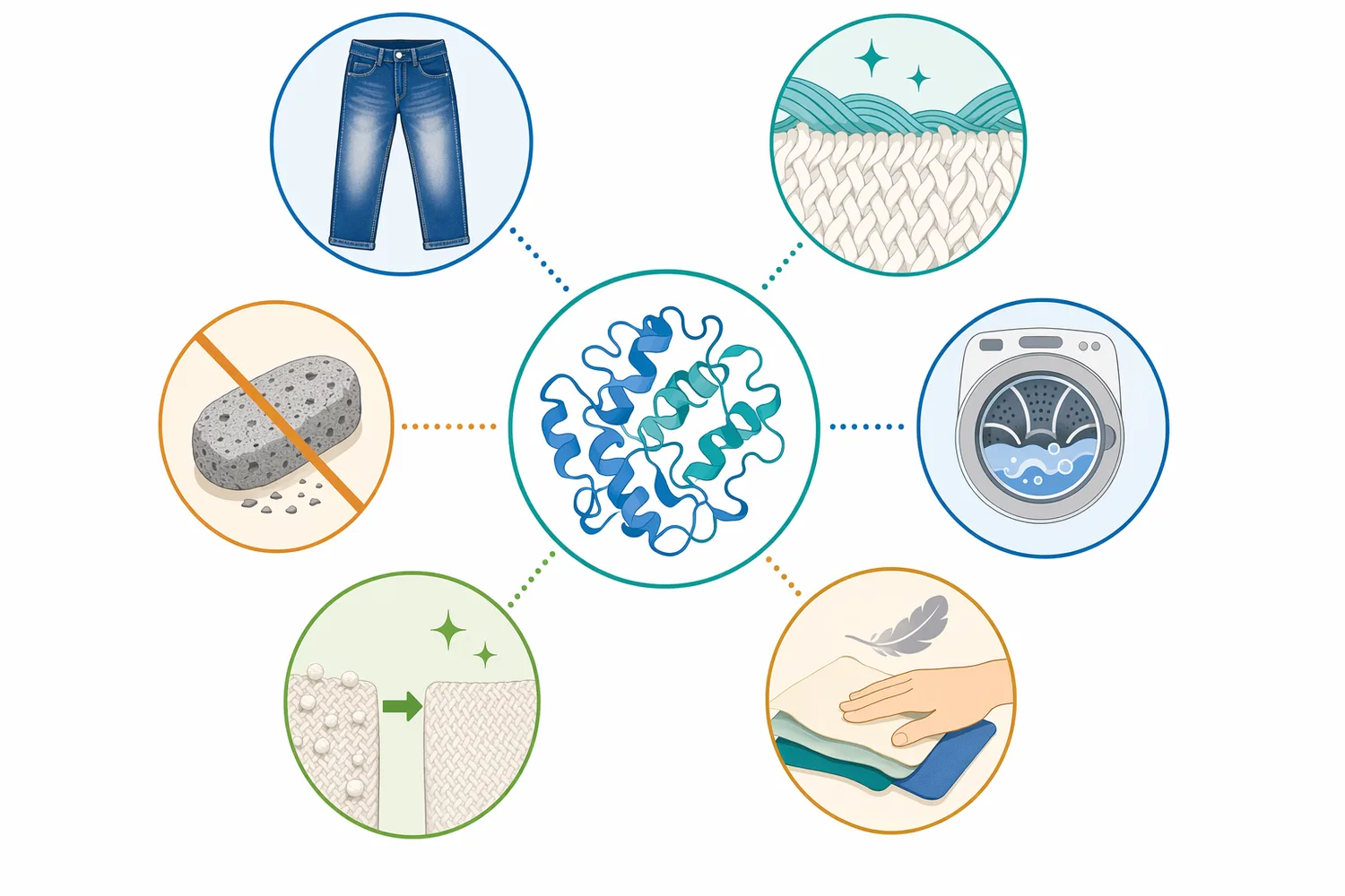 Neutral cellulase can support clean dark rinses, moderate aged looks, seam and edge highlights, softer handle, and stonewashed effects on cotton-rich denim.