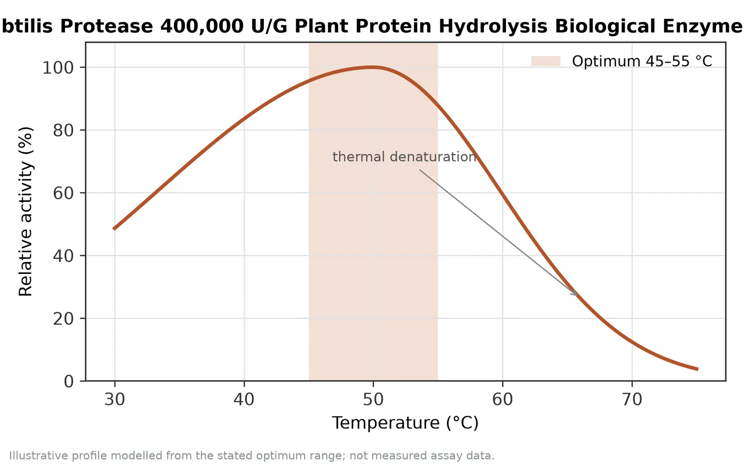 Relative activity of Neutral Protease Bacillus Subtilis Protease 400,000 U/G Plant Protein Hydrolysis Biological Enzyme as a function of temperature, with the optimum at 45–55 °C and a characteristic thermal-denaturation fall-off above the optimum.