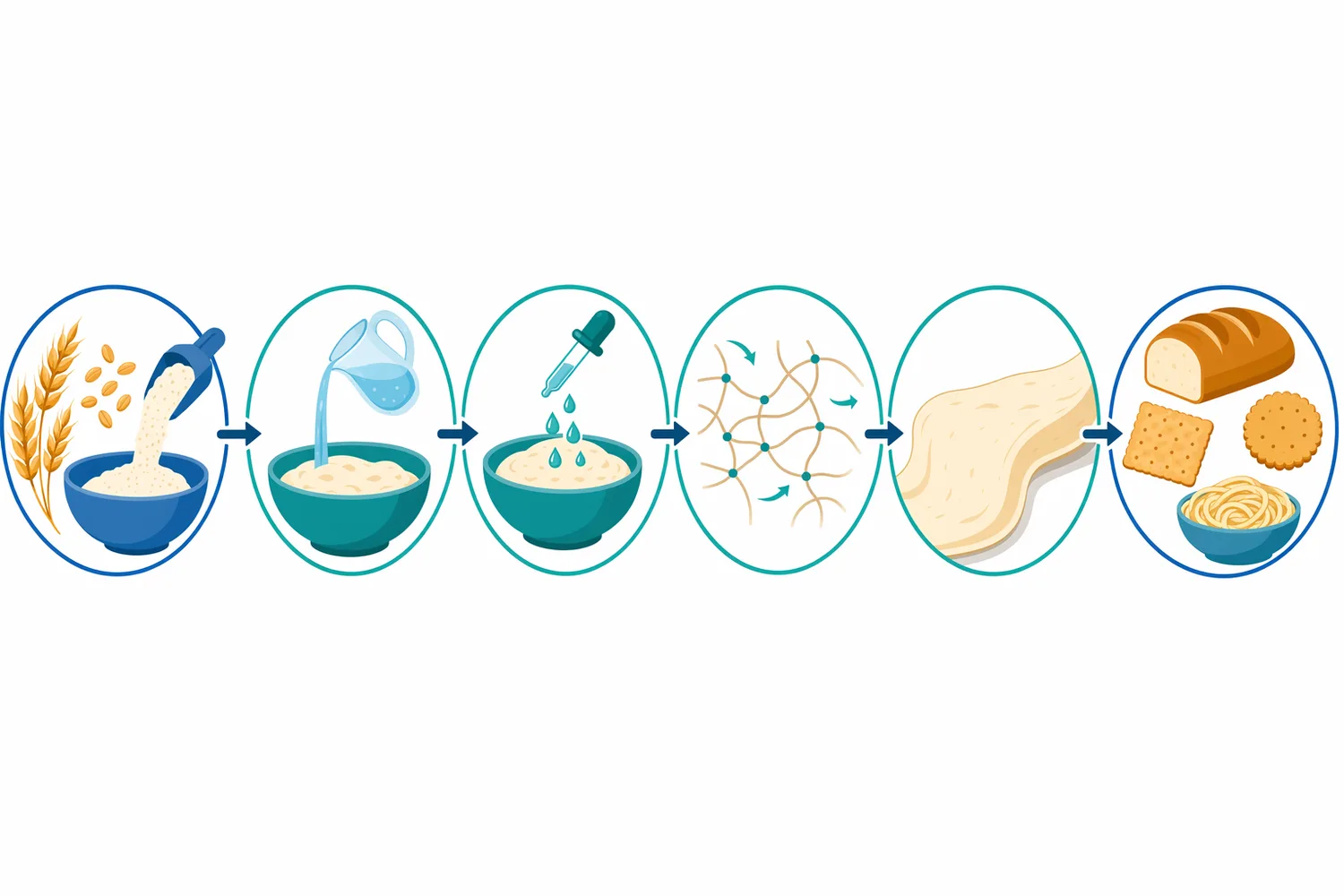 In flour processing, neutral protease is dosed during mixing to modify gluten strength before baking or forming.