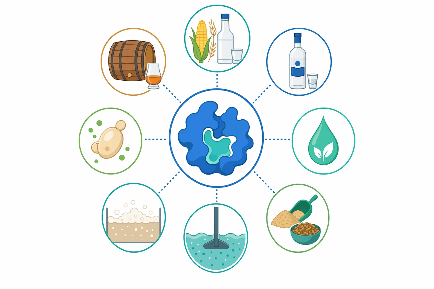 Protein hydrolysis can affect yeast nutrition, foam behavior, suspended solids, deposits, and stillage composition depending on the process.
