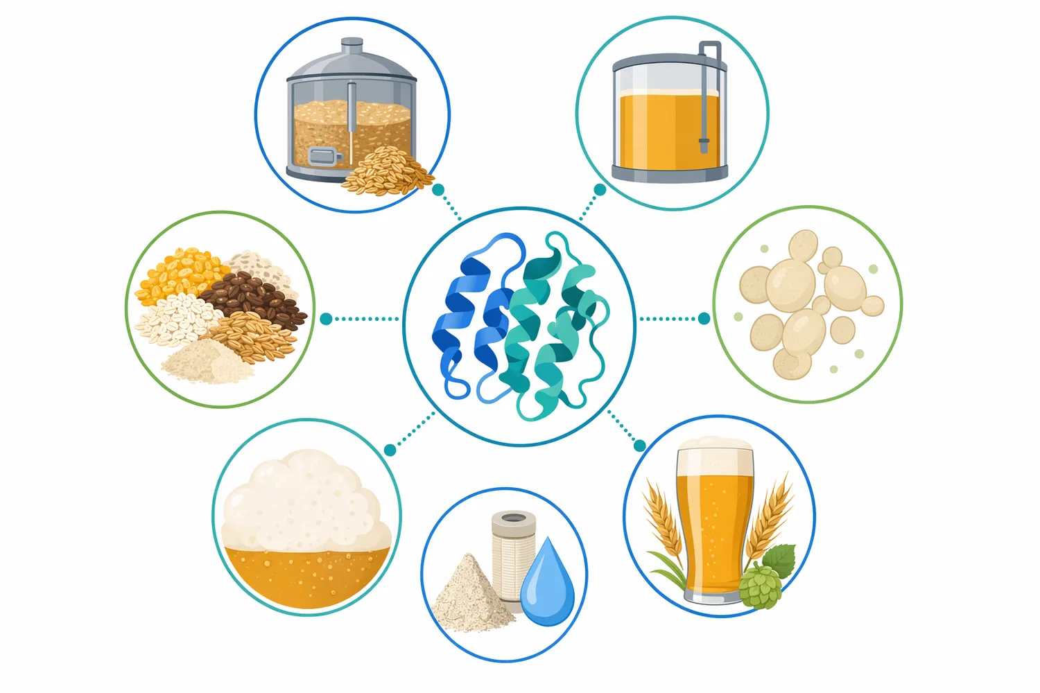 Neutral protease is most relevant for high-adjunct brewing, unmalted grain use, high-gravity wort, haze-sensitive styles, and broader protein-management concepts.