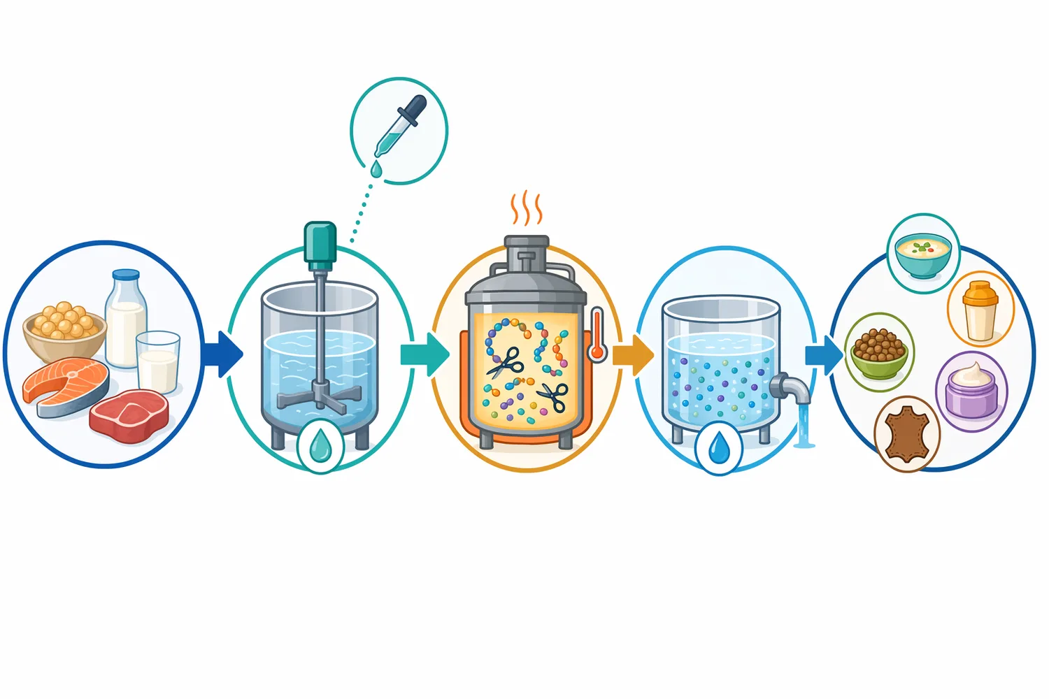 Industrial neutral protease processing converts protein raw materials into soluble peptide hydrolysates for food, feed, cosmetic, and leather applications.