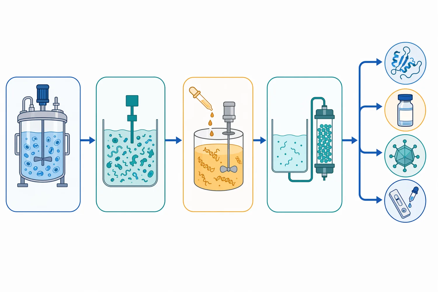 A nuclease treatment step can be placed after cell disruption to reduce nucleic-acid burden before clarification, filtration, or other downstream operations.