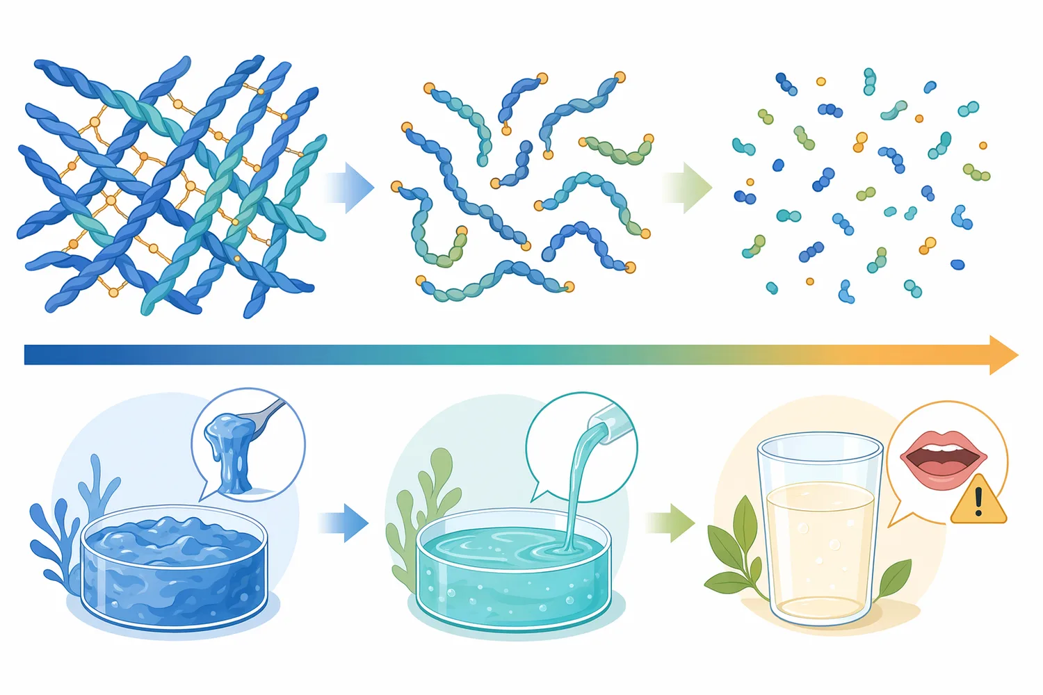 Increasing degree of hydrolysis shifts collagen from fibrous high-molecular material toward smaller, more soluble peptide fractions.