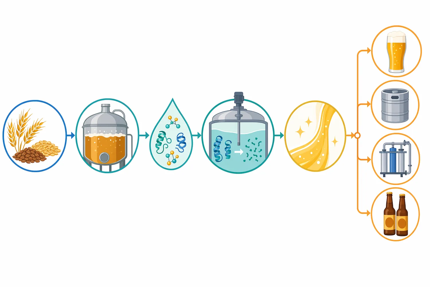 Papain is most logically placed before filtration or packaging so protein hydrolysis can support downstream clarification and final stability.