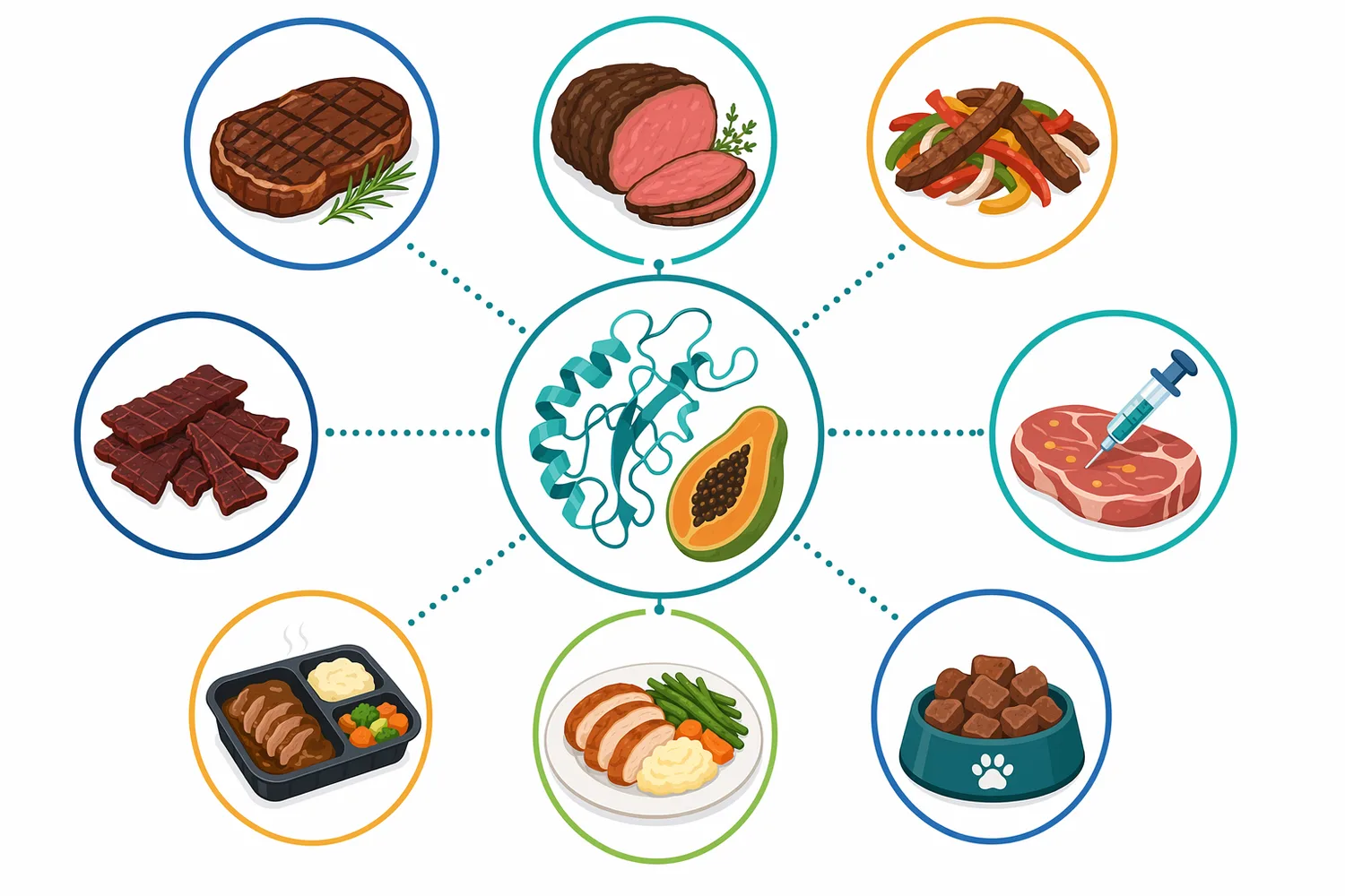 Papain fits best in marinated steaks, beef strips, thin slices, cubes, prepared-meal components, and value-added products where softer bite is a clear benefit.