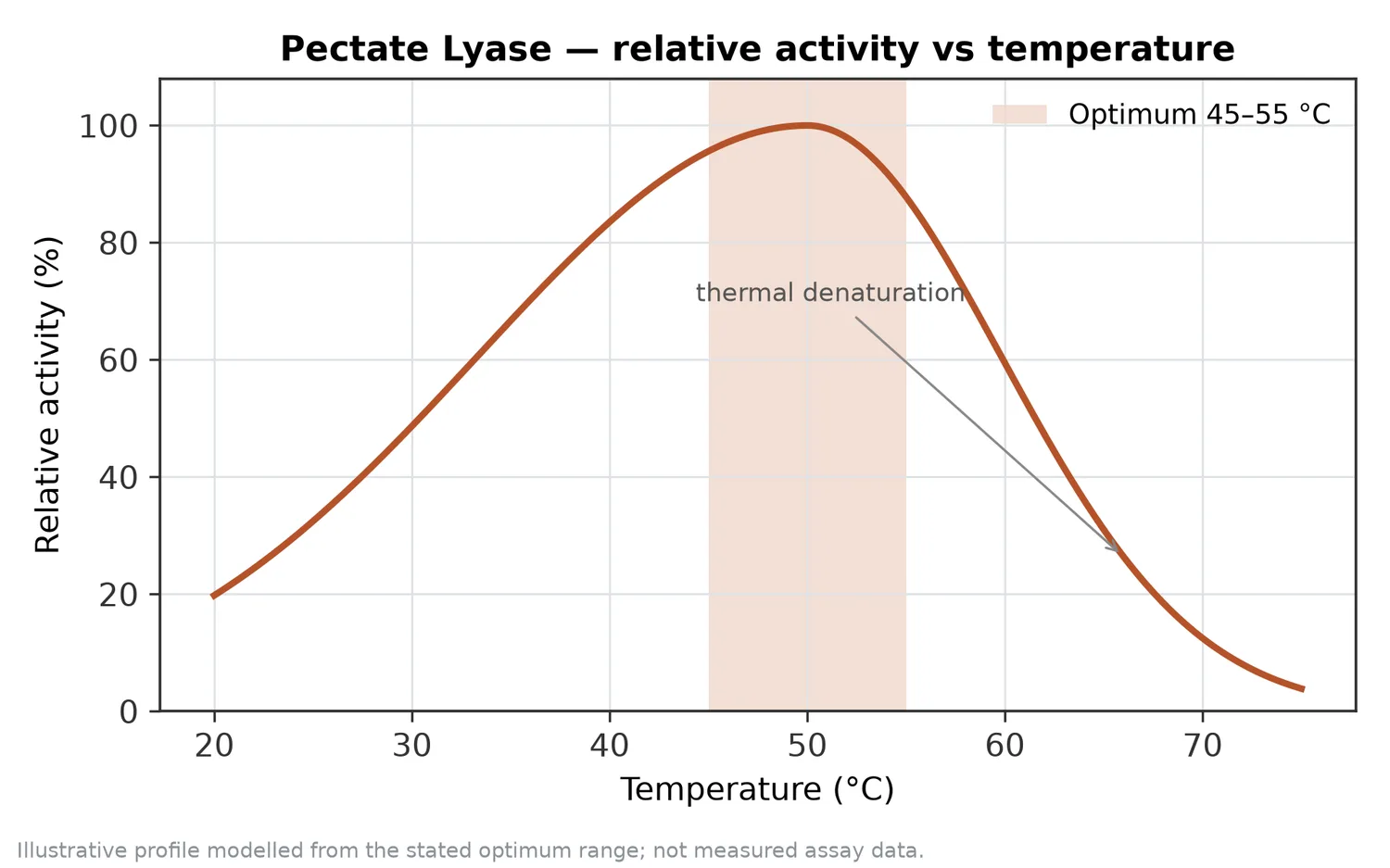 Relative activity of Pectate Lyase as a function of temperature, with the optimum at 45–55 °C and a characteristic thermal-denaturation fall-off above the optimum.