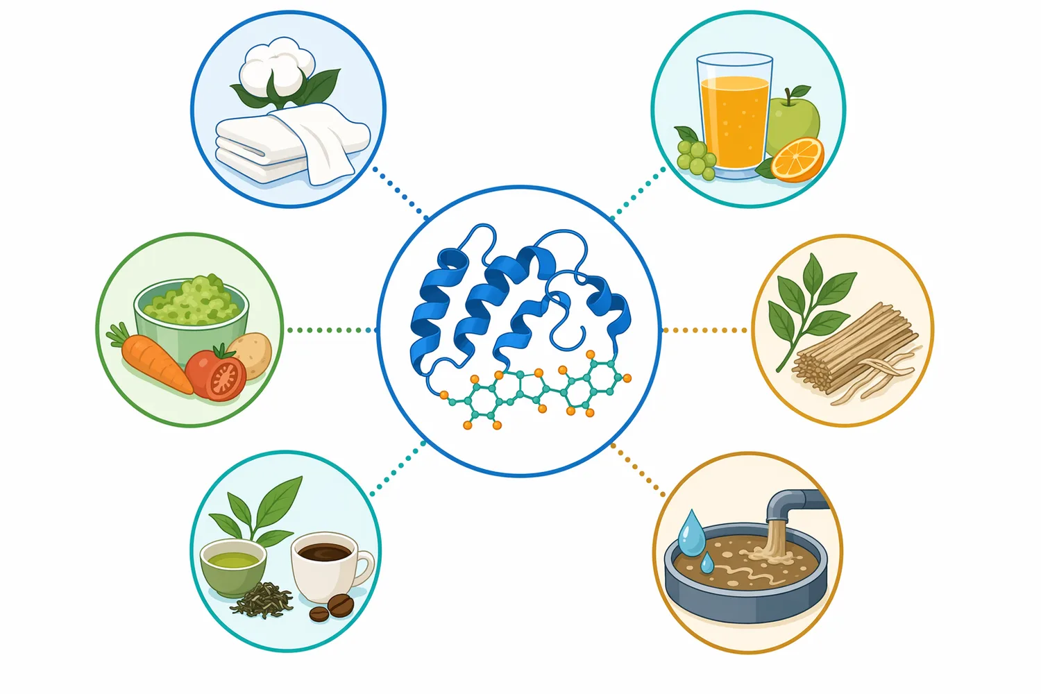 Pectate lyase is used in textile bioscouring, food processing, plant fiber treatment, and pectin-rich effluent management.